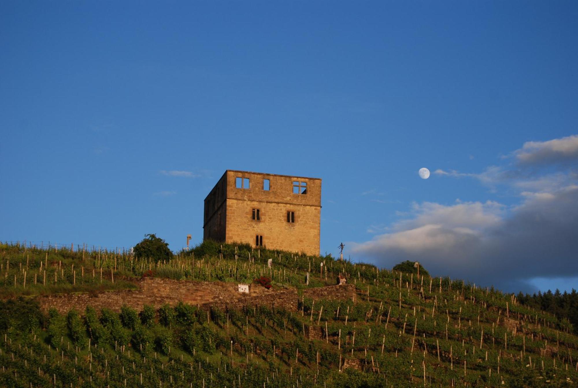 Unter Der Yburg Stetten Stetten  Exteriér fotografie