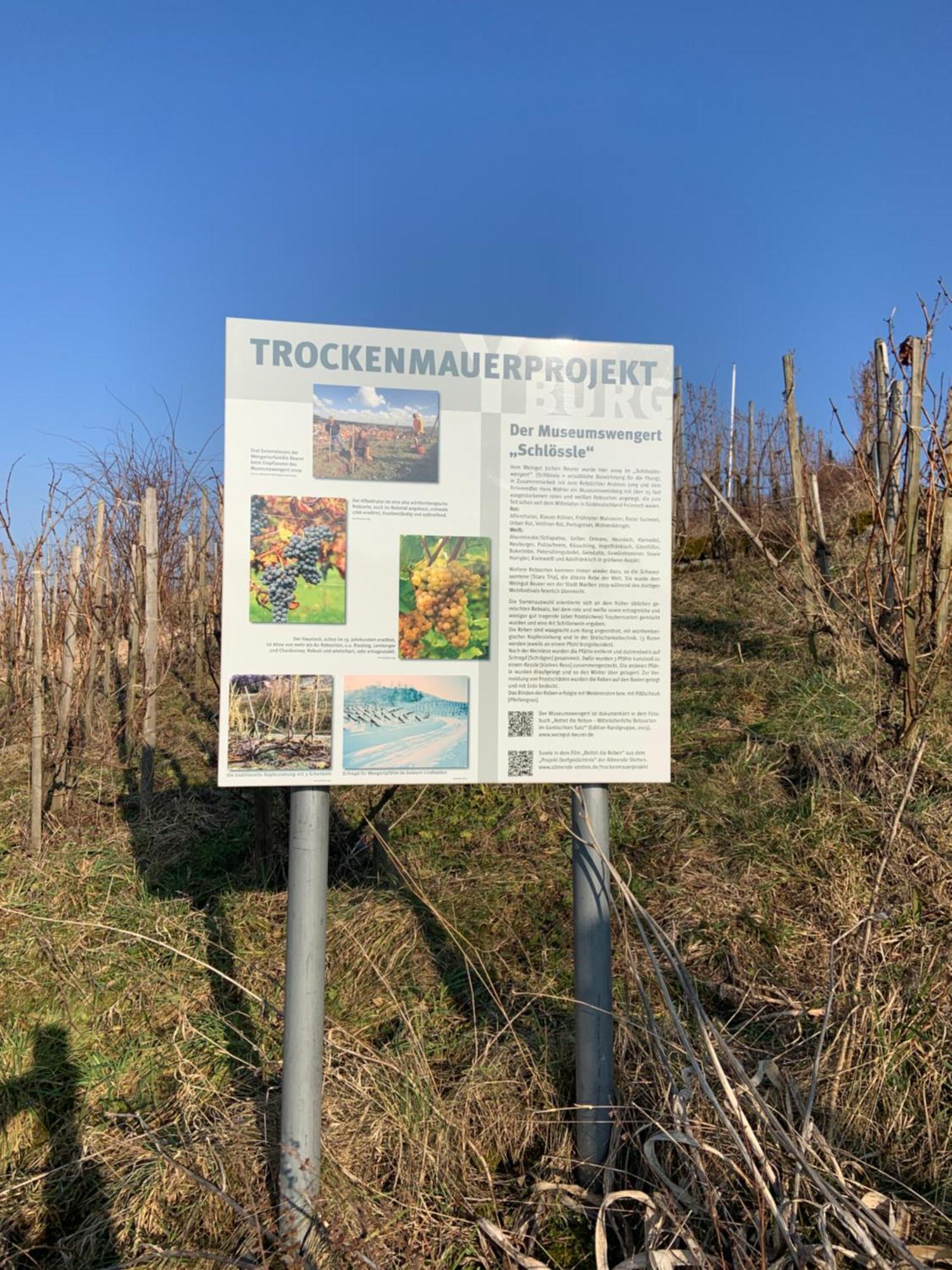 Unter Der Yburg Stetten Stetten  Exteriér fotografie